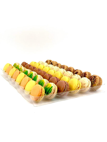 Tropical Collection (48 pcs) – Mad Mac NYC
